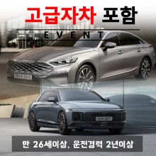 디올뉴그랜저 / K8 (랜덤) + 고급자차